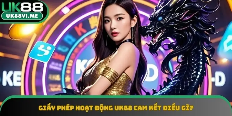 Cam kết của chính sách mà newbie cần biết