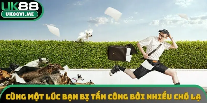 Cùng một lúc bạn bị tấn công bởi nhiều chó lạ