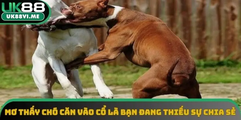 Mơ thấy chó căn vào cổ là bạn đang thiếu sự chia sẻ